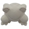 011 0801 Frog